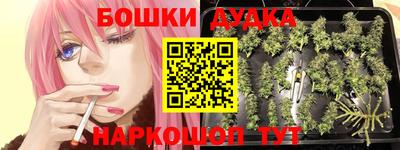 спайс Аргун